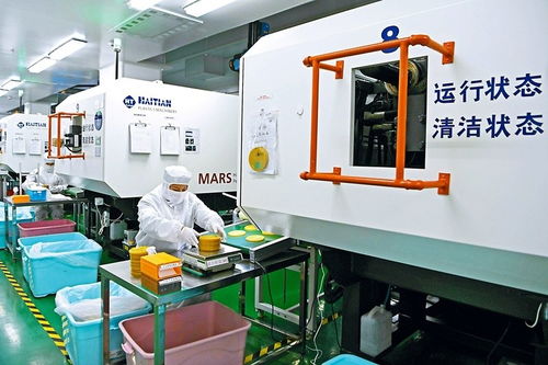 結對合作助轉型，數字技術賦能企業新飛躍